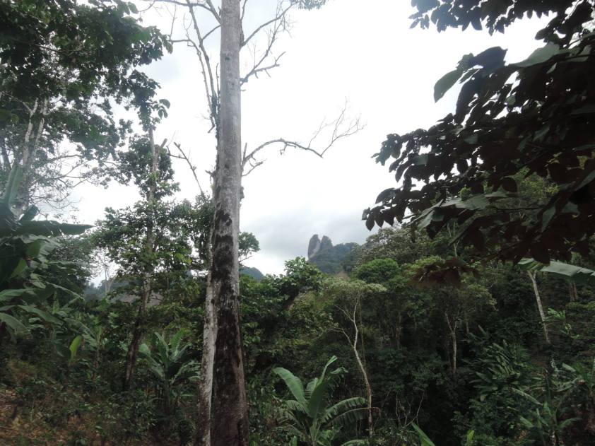 Las Piedras de Levay